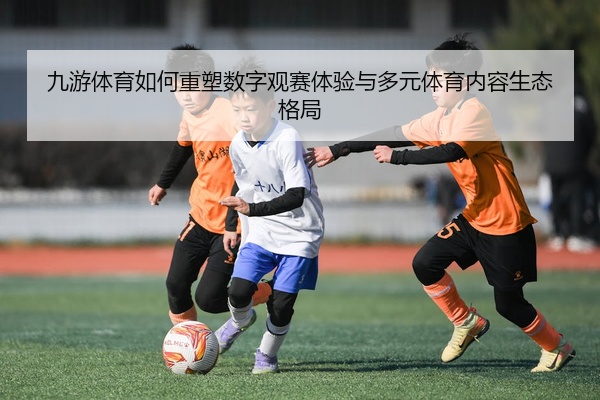九游体育如何重塑数字观赛体验与多元体育内容生态格局